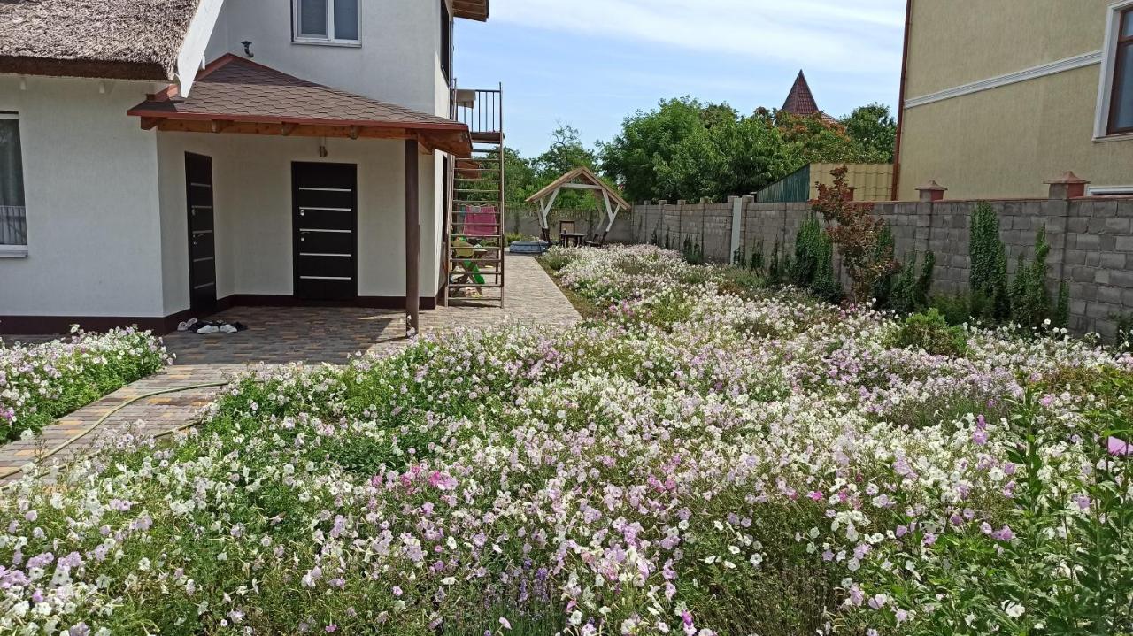 Eco House Hotel Tjornomorsk Eksteriør billede